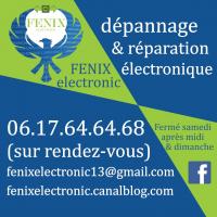 Fenix electronic