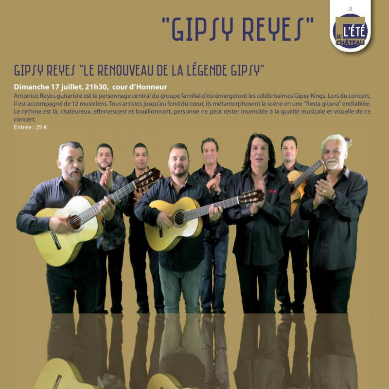 Gipsy reyes salon de provence