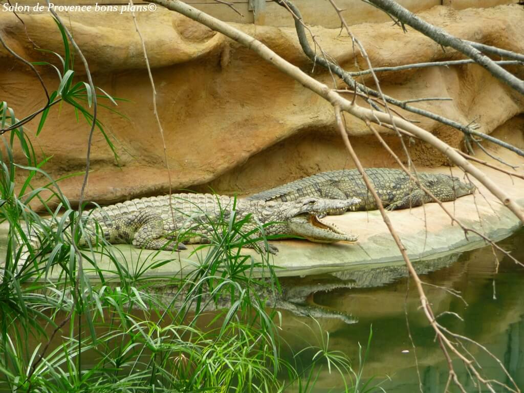 La ferme aux crocodiles 2