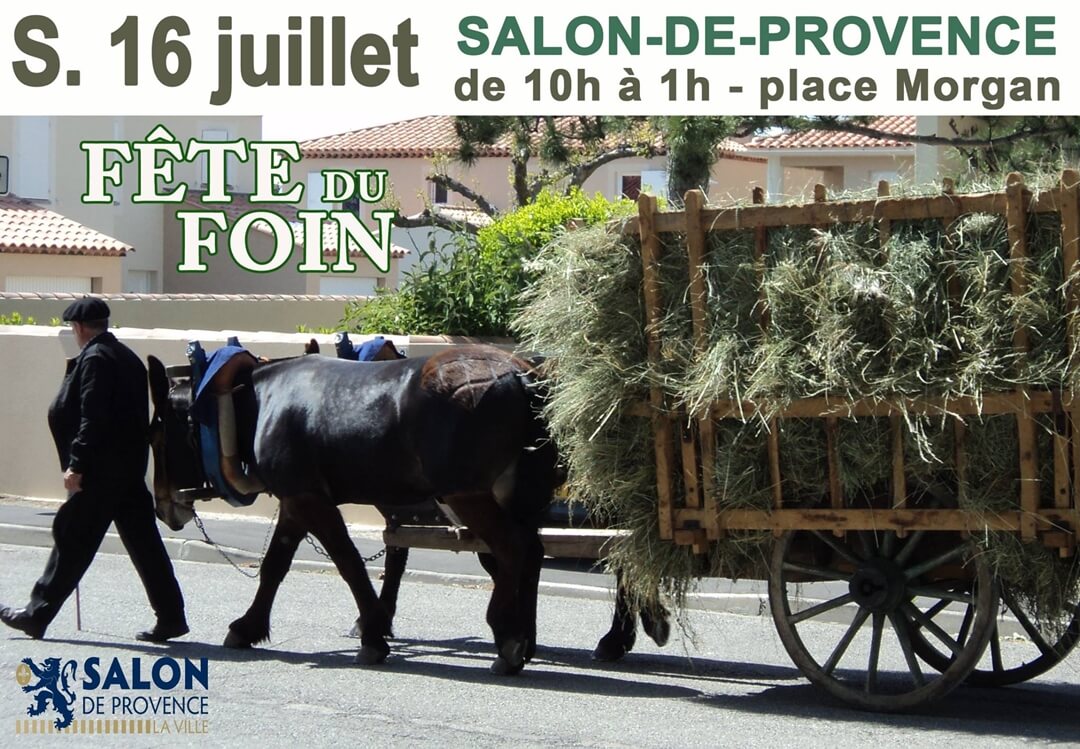 La fete du foin a salon de provence