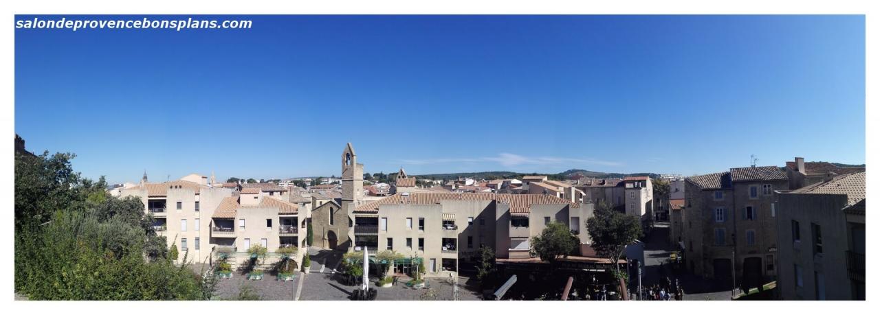 chateau-de-l'empéri-salon-de-provence (5)