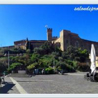 chateau-de-l'empéri-salon-de-provence (6)