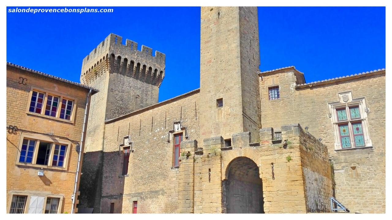 chateau-de-l'empéri-salon-de-provence