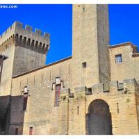 chateau-de-l'empéri-salon-de-provence