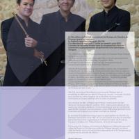 festival-international-salon-de-provence (2)