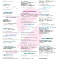 festival-international-salon-de-provence (3)
