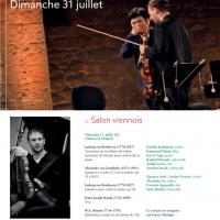 festival-international-salon-de-provence (9)