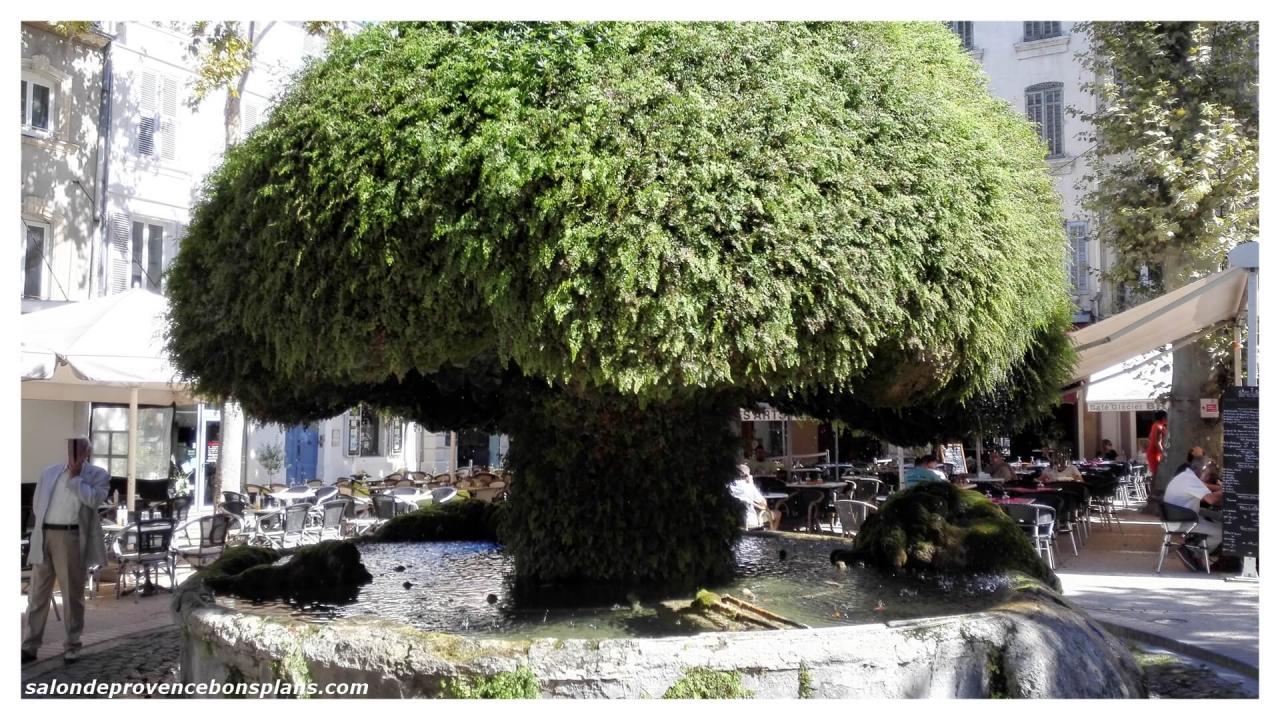 fontaine-moussue-salon-de-provence (2)