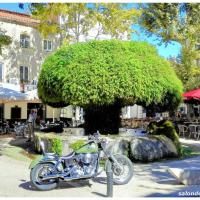 fontaine-moussue-salon-de-provence (3)
