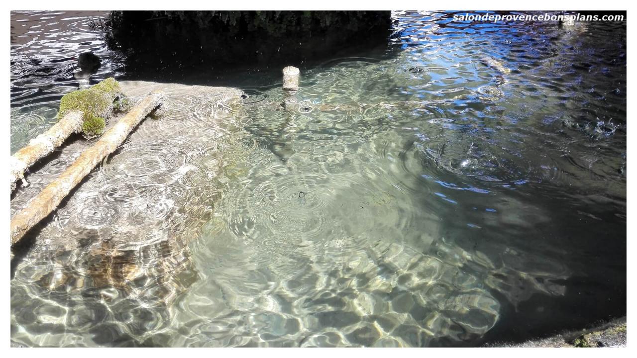 fontaine-moussue-salon-de-provence (4)