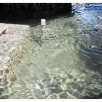 fontaine-moussue-salon-de-provence (4)