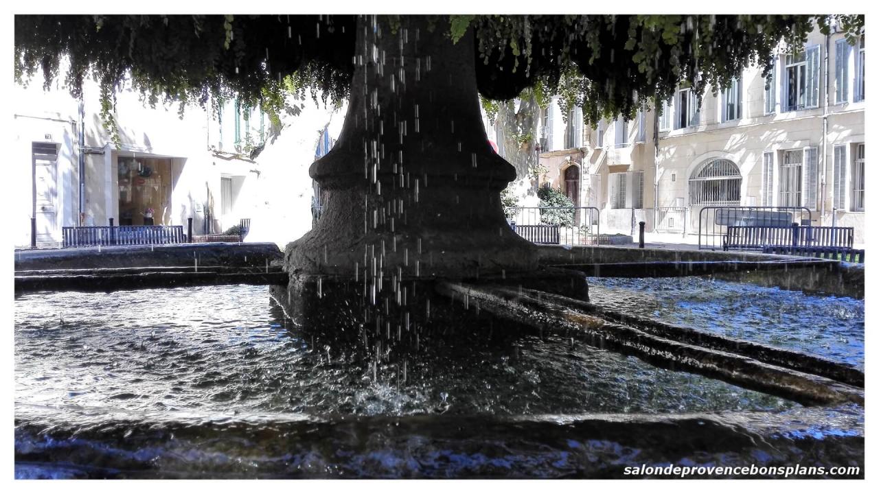 fontaine-moussue-salon-de-provence (5)