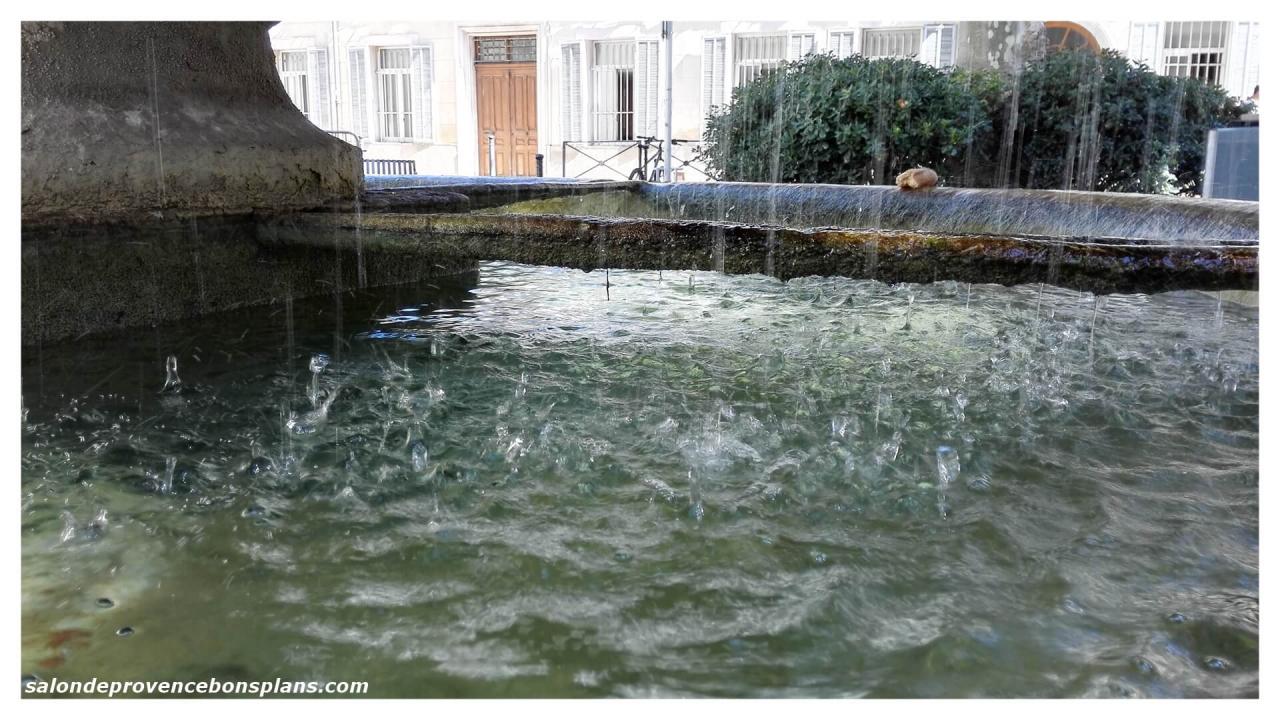 fontaine-moussue-salon-de-provence (6)