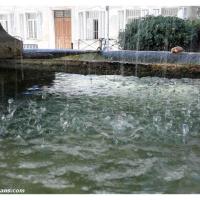fontaine-moussue-salon-de-provence (6)