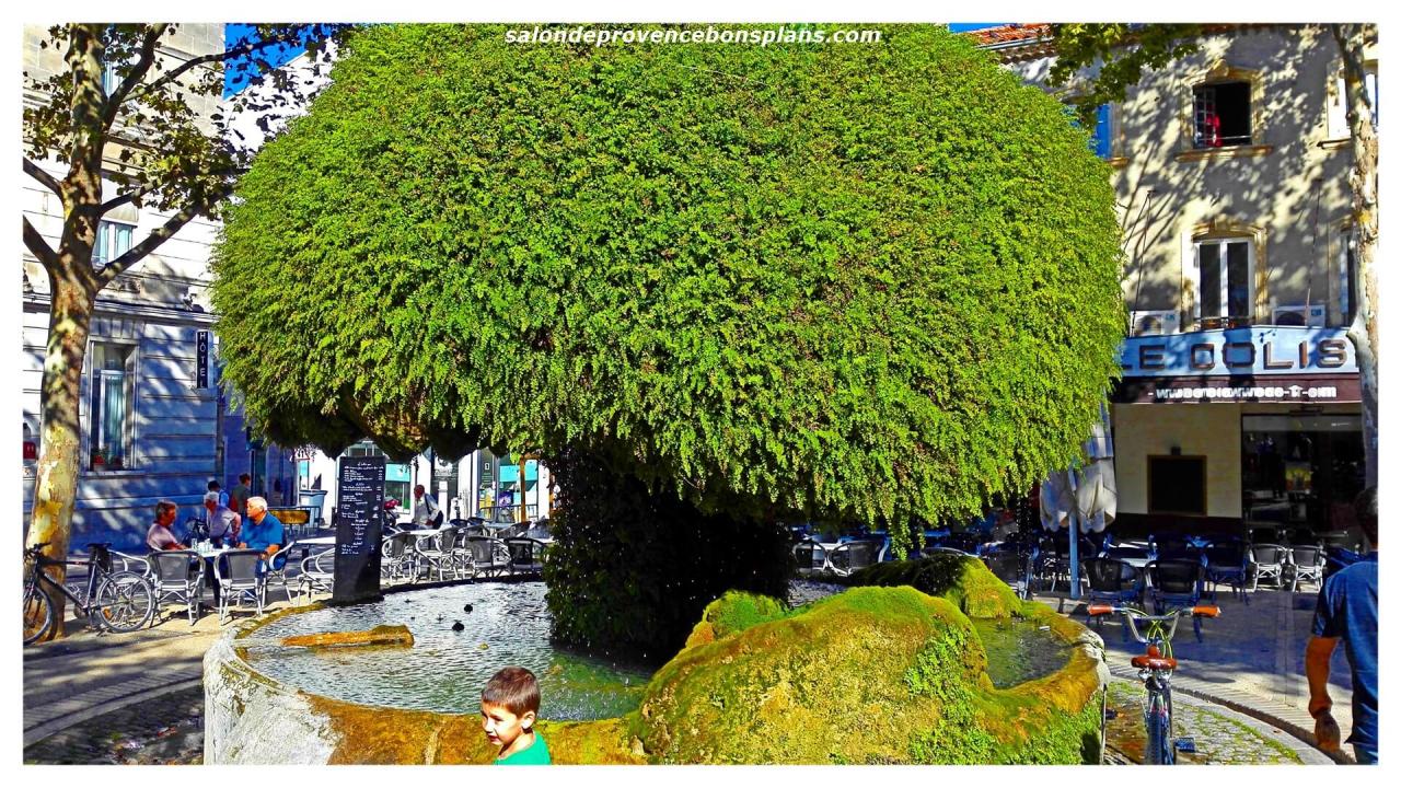 fontaine-moussue-salon-de-provence