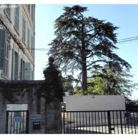lycée-le-rocher-salon-de-provence