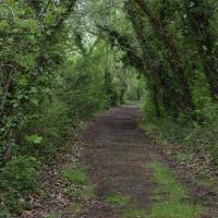 poudrerie Saint-Chamas (10)