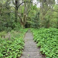 poudrerie Saint-Chamas (14)