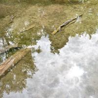 poudrerie Saint-Chamas (19)