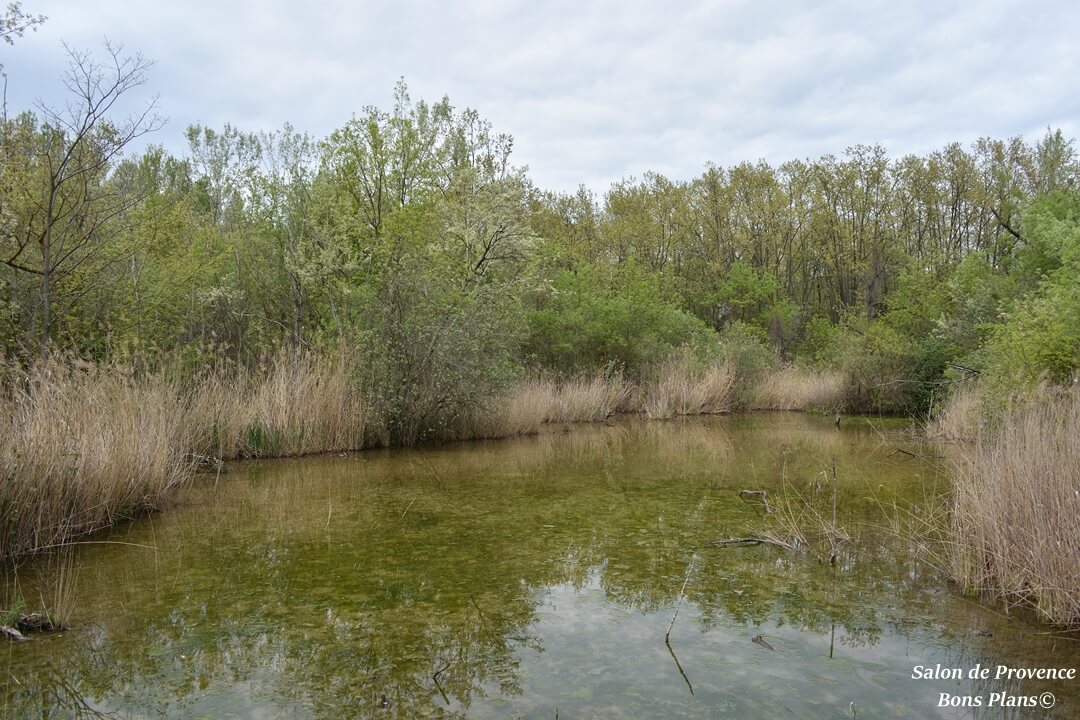 poudrerie Saint-Chamas (20)