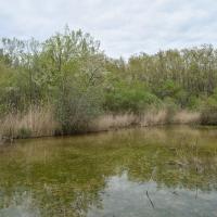 poudrerie Saint-Chamas (20)