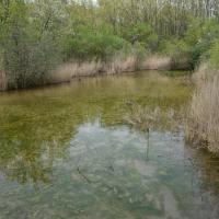 poudrerie Saint-Chamas (21)