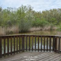 poudrerie Saint-Chamas (22)