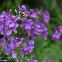 poudrerie Saint-Chamas (26)