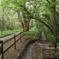 poudrerie Saint-Chamas (30)