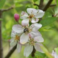 poudrerie Saint-Chamas (32)