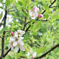 poudrerie Saint-Chamas (33)