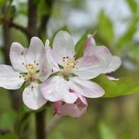 poudrerie Saint-Chamas (34)