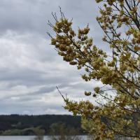 poudrerie Saint-Chamas (9)