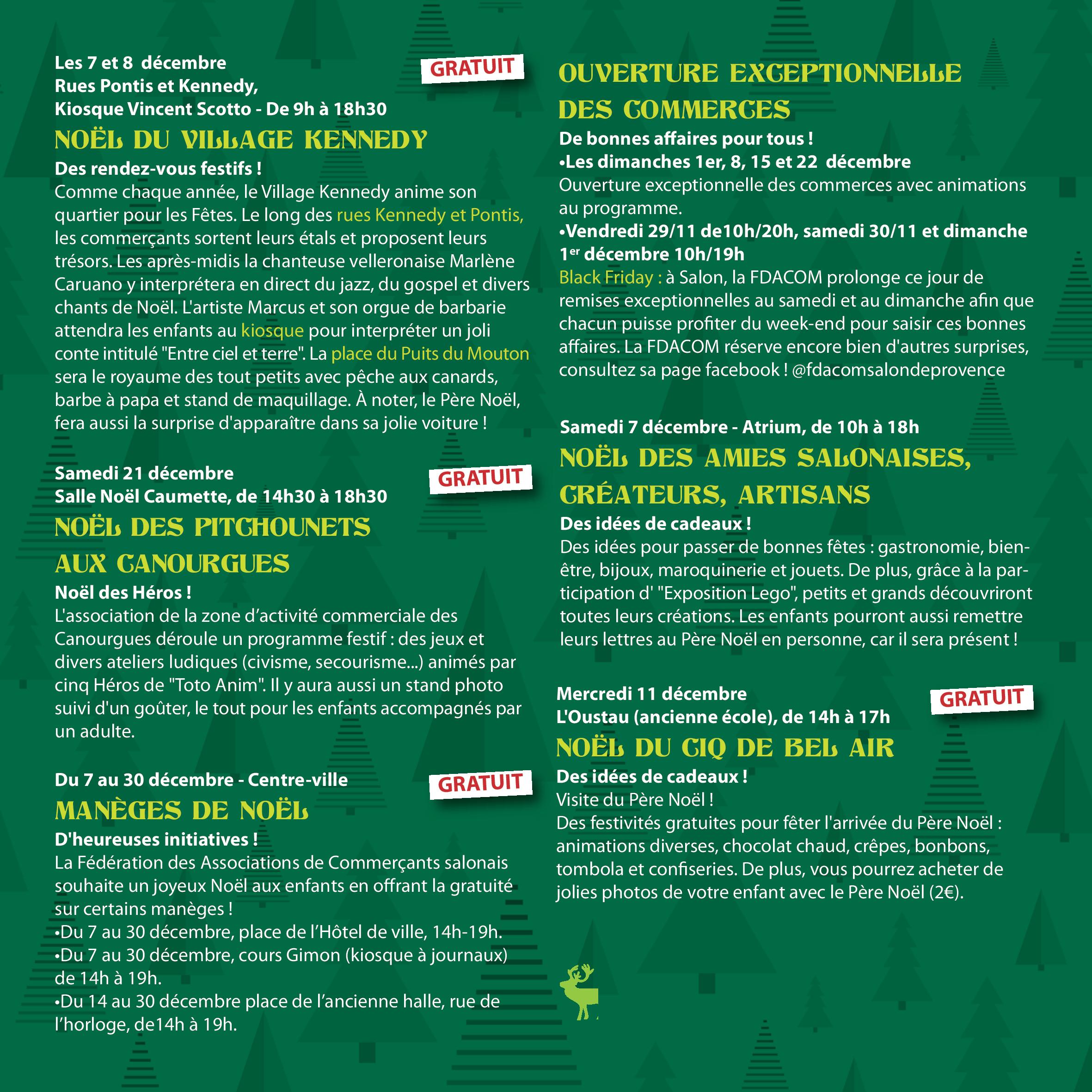 programme noel salon de provence (19)