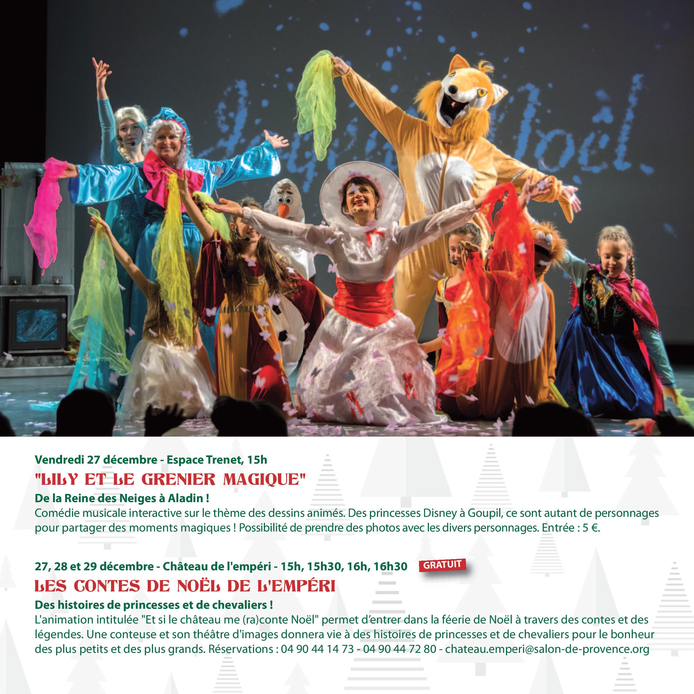 programme noel salon de provence (25)