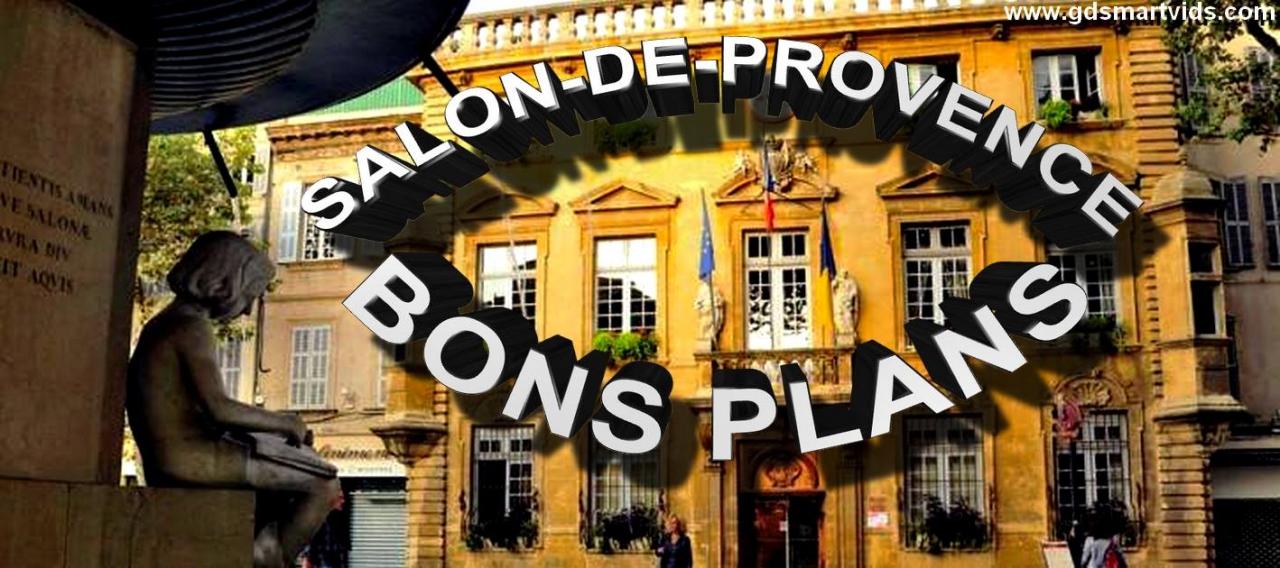 Salon-de-Provence bons plans 2014