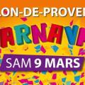 Carnaval salon de provence 5