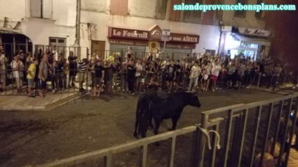 Fete vautive d eyguieres 4