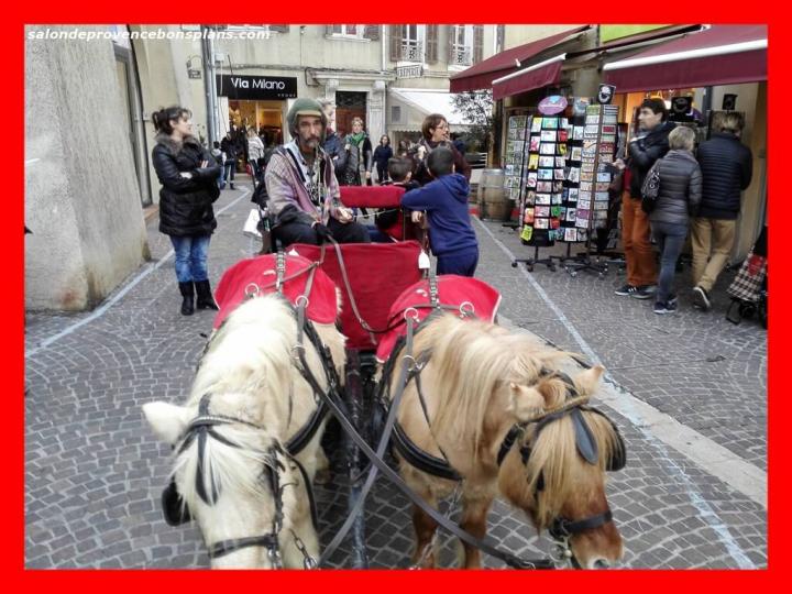 Promenade en poney et caleche