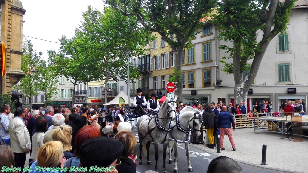 Transhumance salon de provence 2016 4 1 