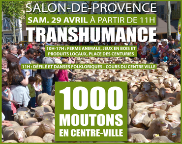 Transhumance salon de provence